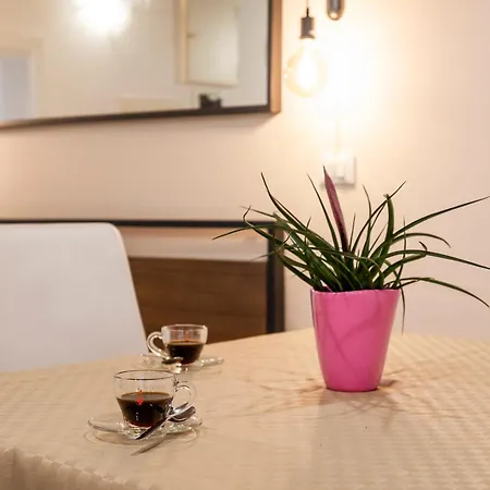 Fenix Colombina In Biennale - Your Little House