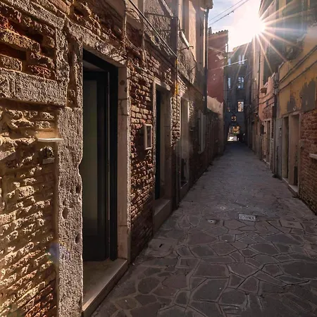 Fenix Colombina In Biennale - Your Little House